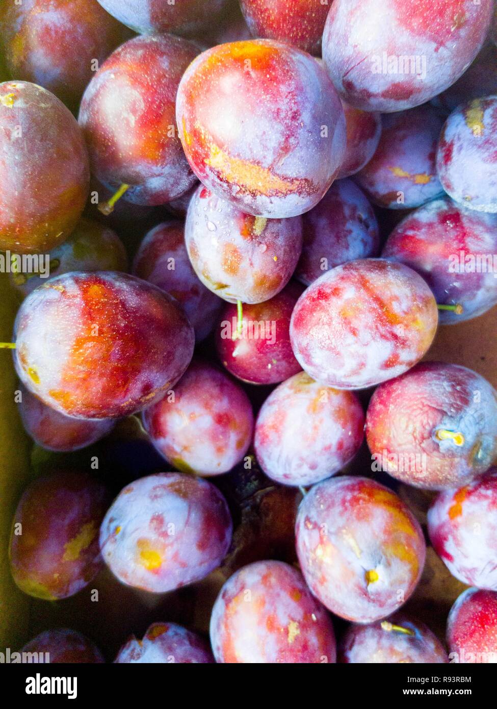 Close up picture of a bunch of plumbs from the market Stock Photo