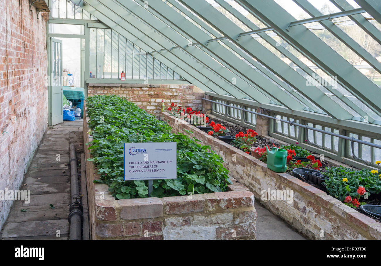 Lean-to greenhouse in the Walled Garden, Delapre Abbey, Northampton, UK; created and maintained by customers of Olympus Care Services. Stock Photo