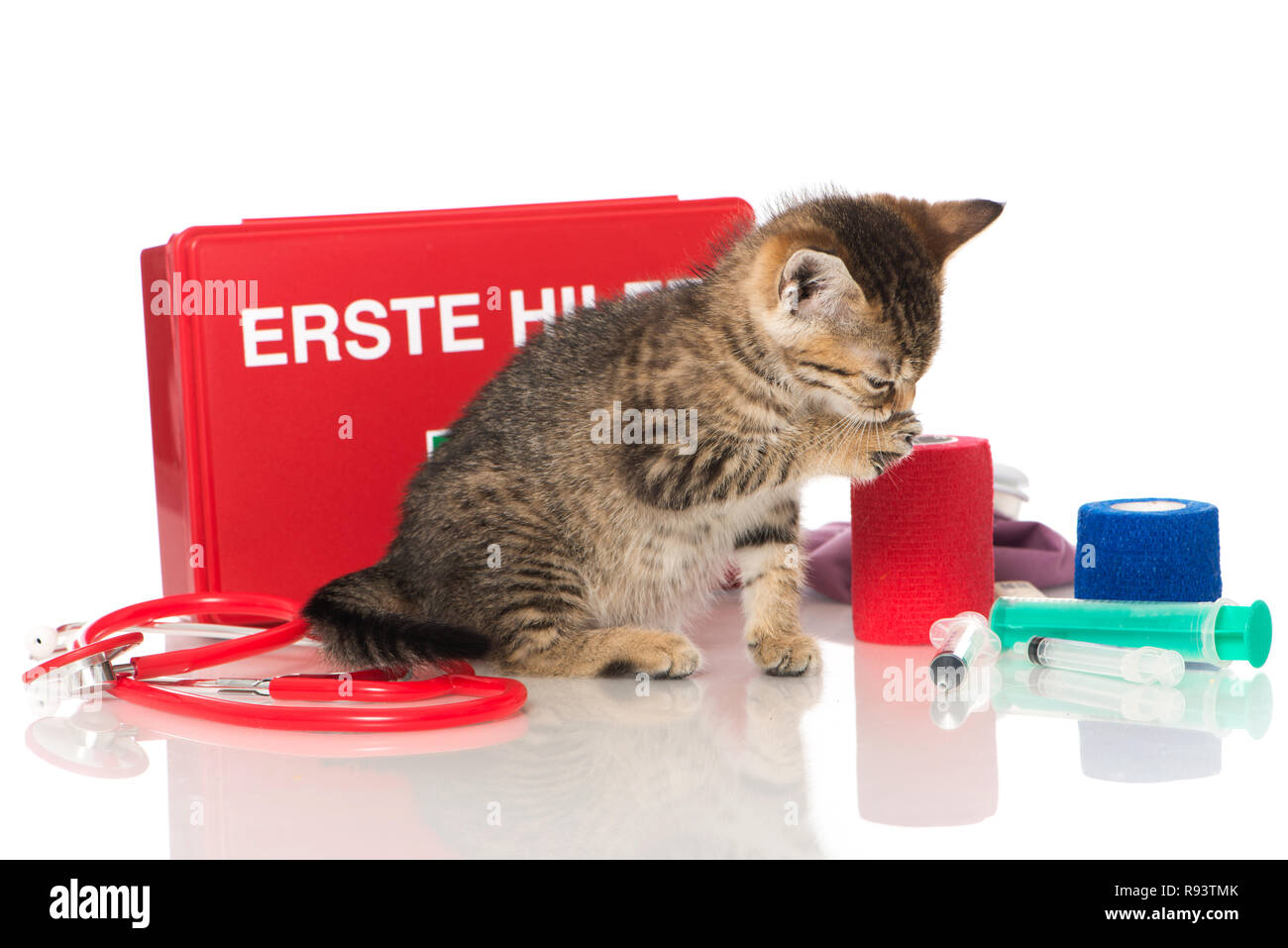 FIRST AID FOR KITTEN FEVER visual data 5