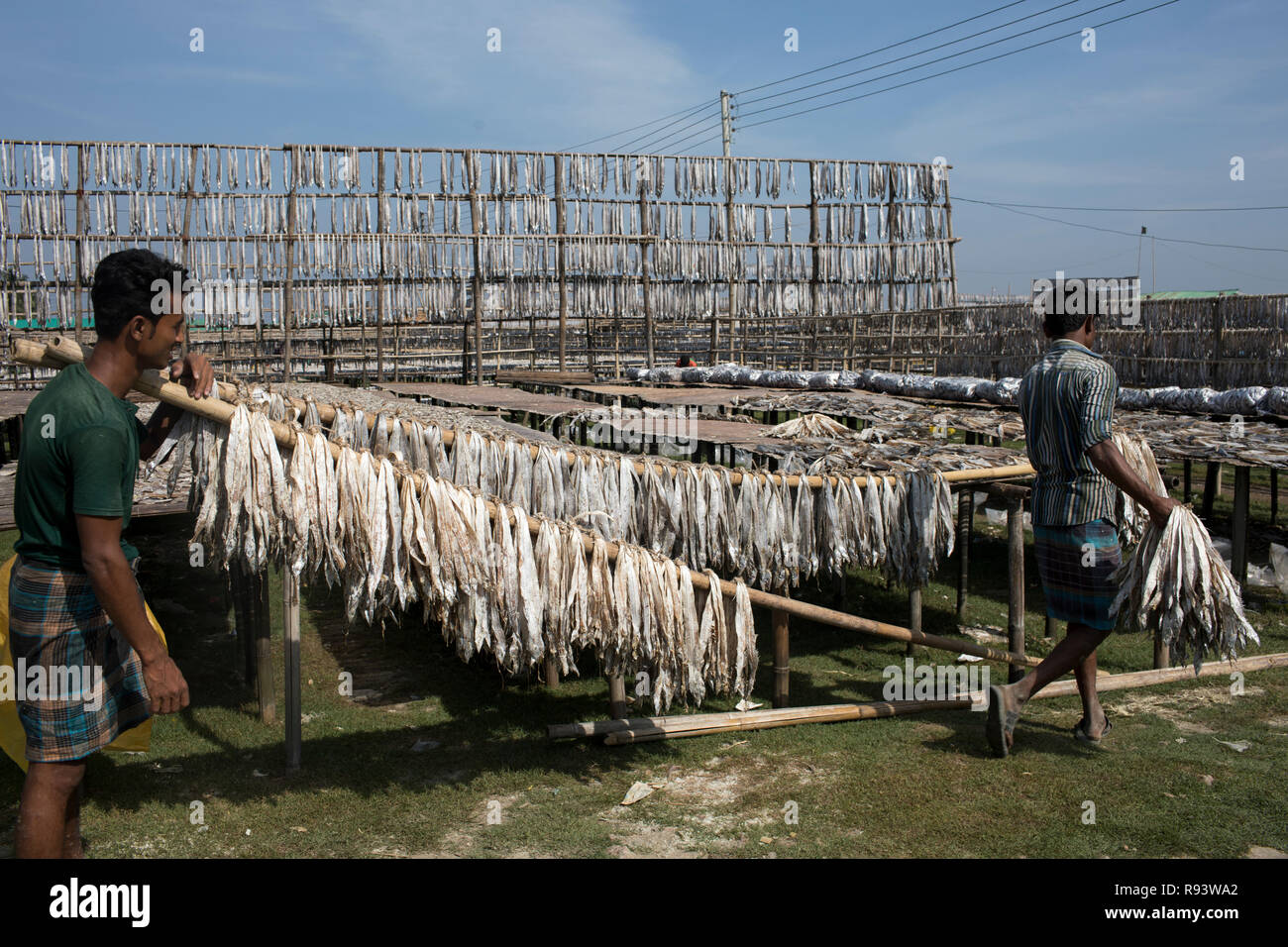 Workers carry fishes to be dried at Najirar Tech Dry Fish Centre in Cox