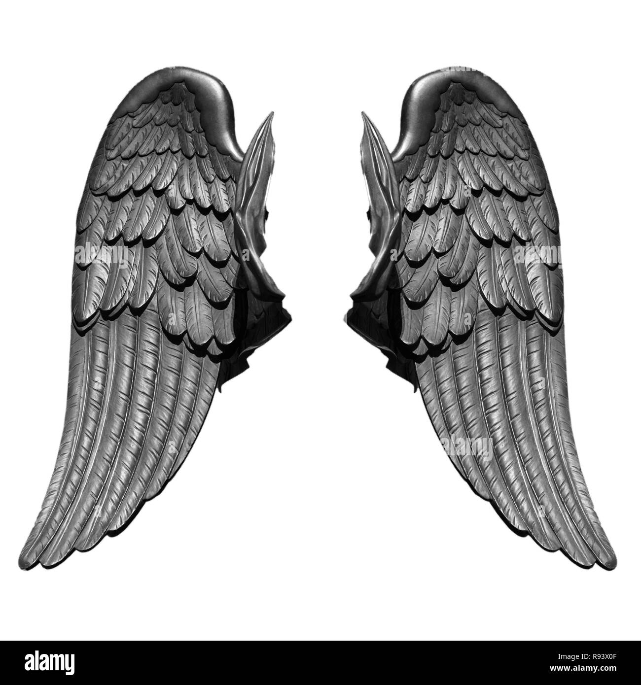 Angel wings isolated on white background. Stock Photo