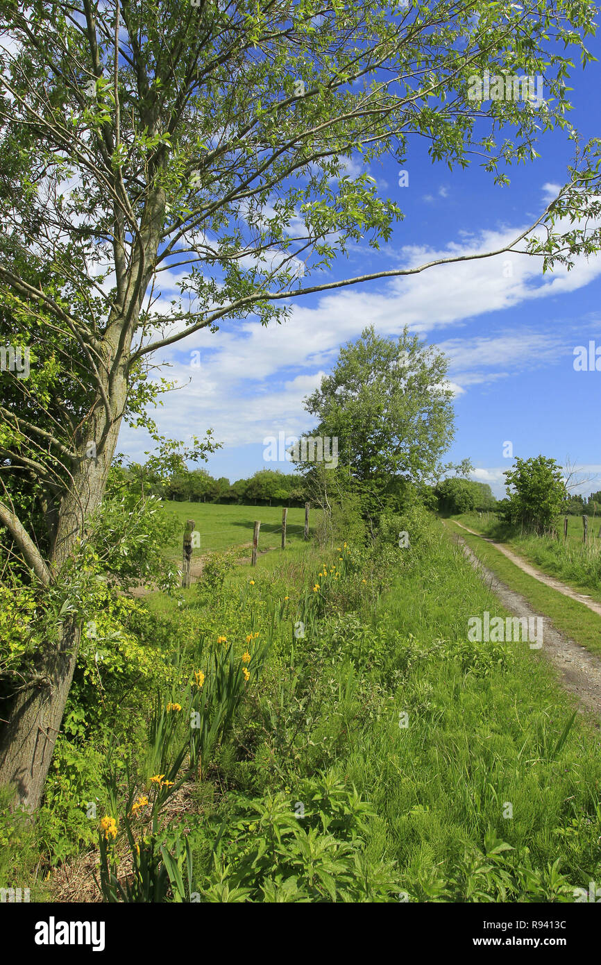 Landscape of the Authie Valley. Countryside track in the bay of Authie Stock Photo