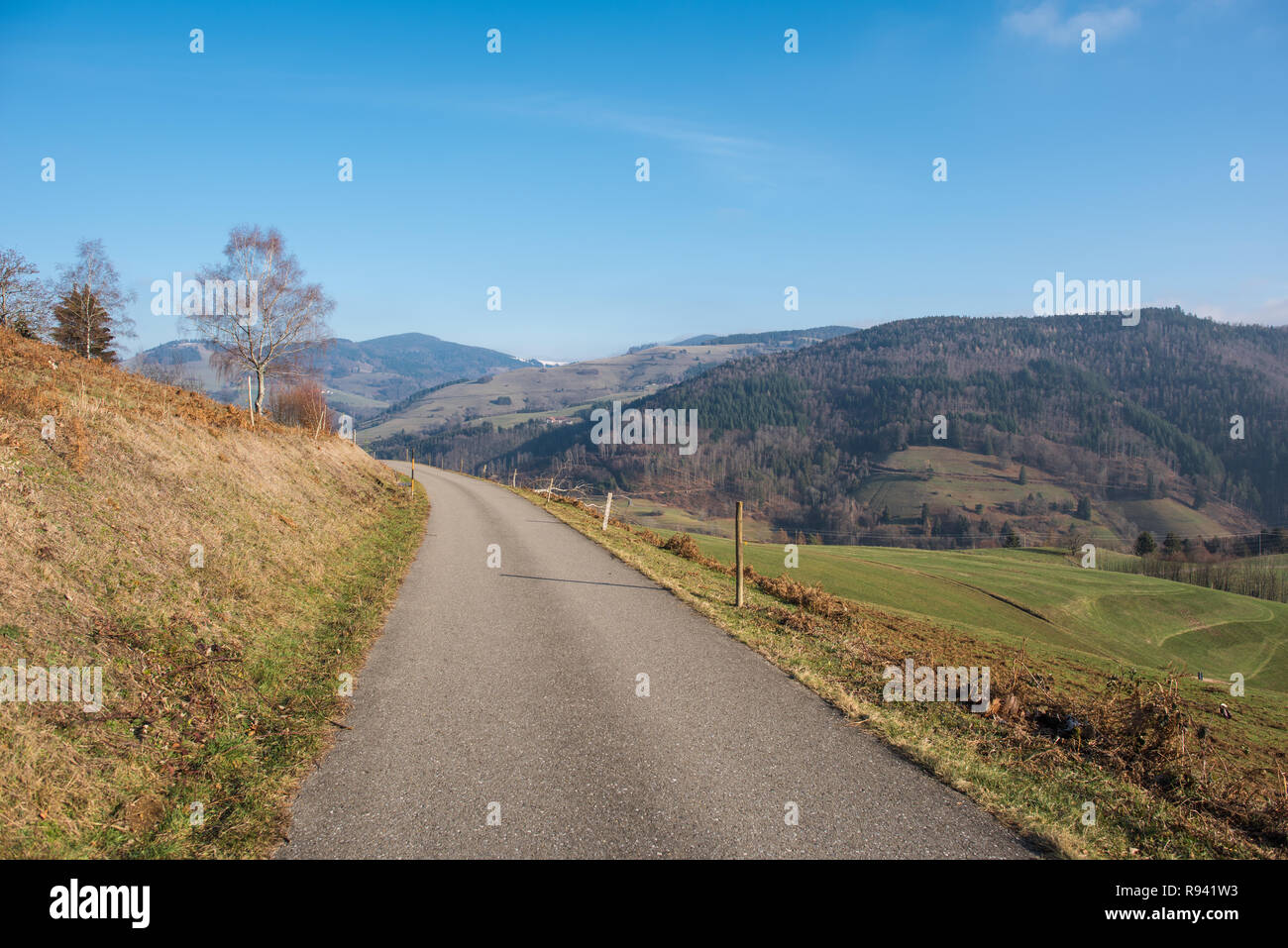 nature landscape black forest germany Stock Photo - Alamy