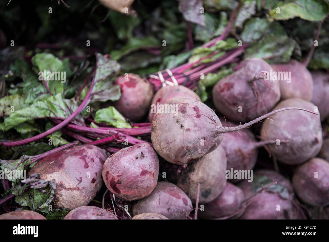 Fresh Veggies and Fruits Stock Photo