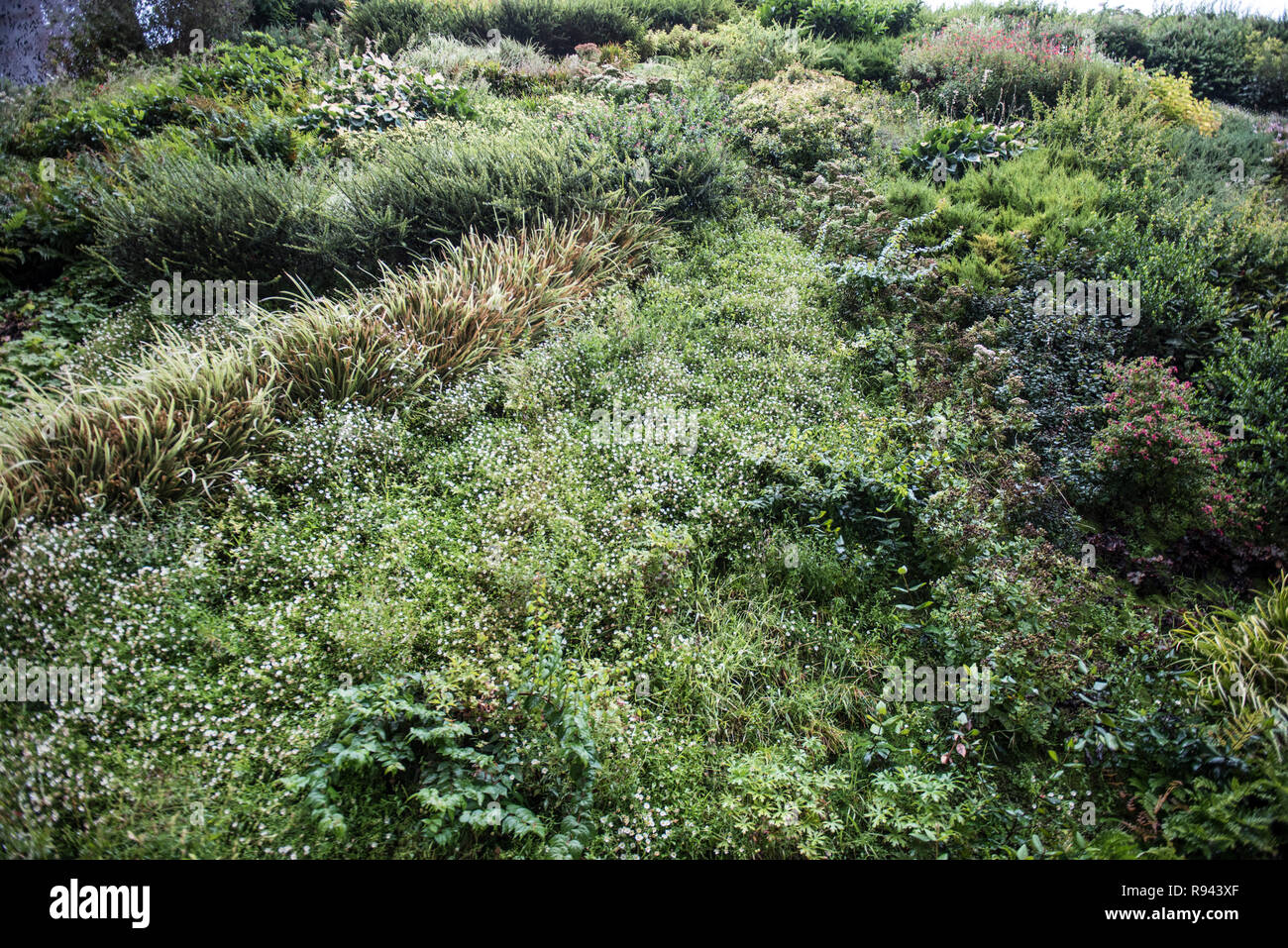 Warming plants hi-res stock photography and images - Alamy