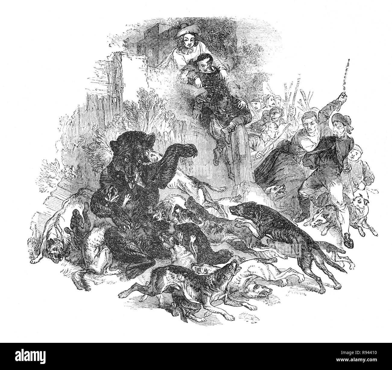 A scene from Hudibras, an English satirical polemic written by Samuel Butler(1613 – 1680), poet and satirist, mostly against Parliamenterians,Roundheads, Puritans, Presbyterians and other factions involved in the English Civil War of 1642-1651. The epic tells the story of Sir Hudibras and his squire, Ralpho who ride forth from the knight’s home to reform what they call sins and what the rest of the world regards as mild amusement. Here Sir Hudibras and Rapho rescue the bear from the cruelty of bear baiting with dogs. Stock Photo