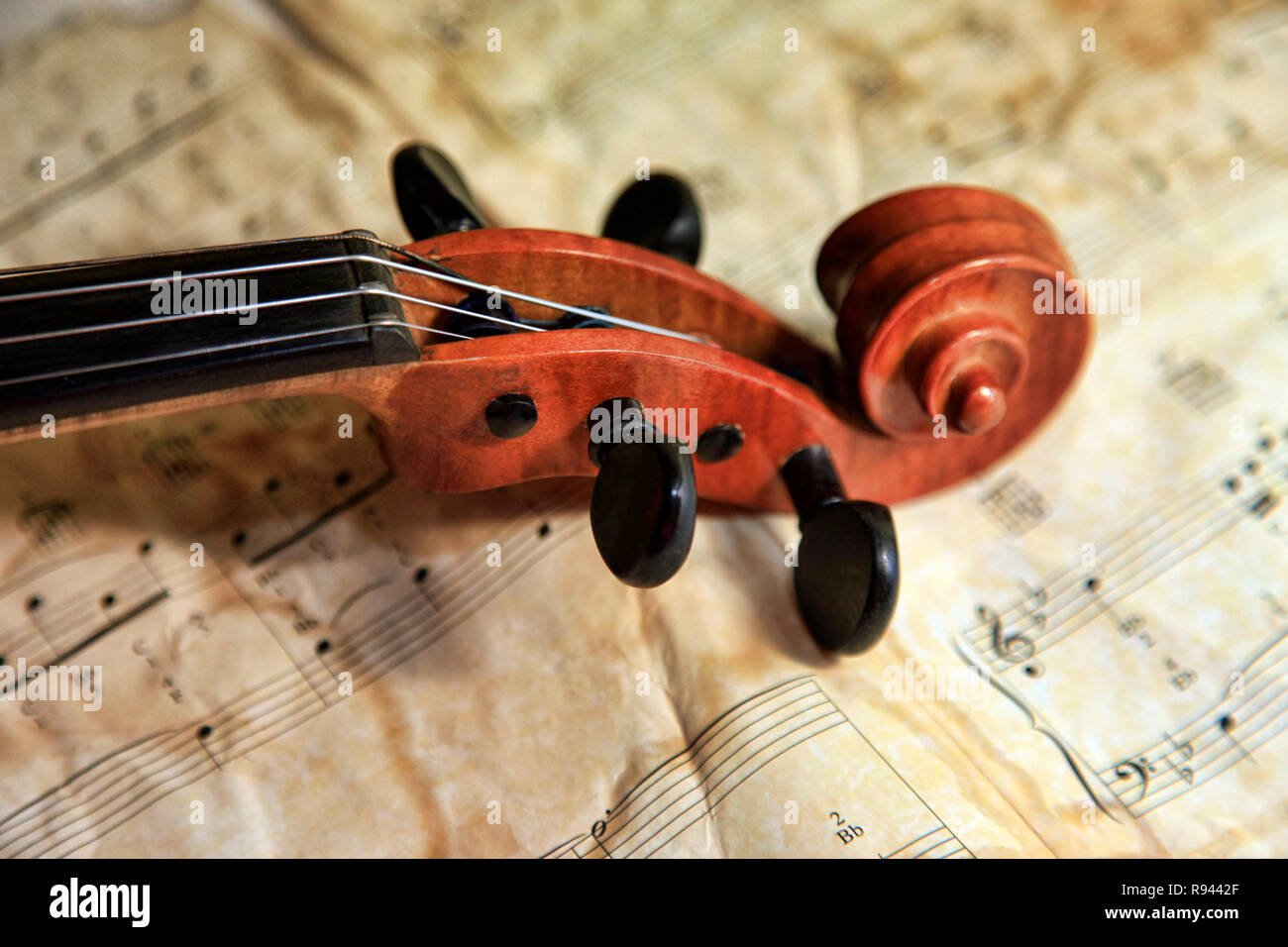 1937 old violin on the background of notes Stock Photo