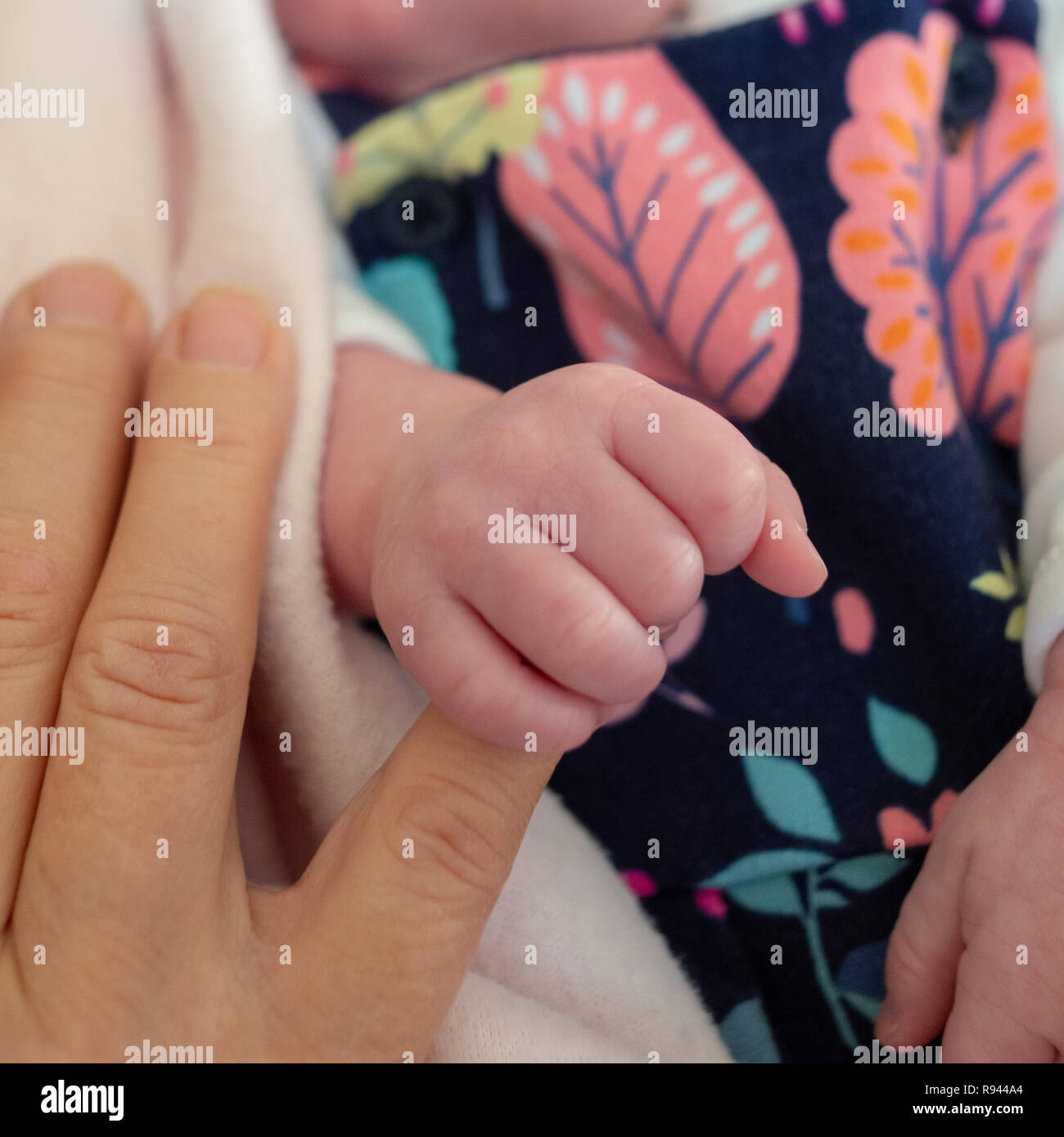 Hand and fingers of a new born baby wrapped around an adult finger. Stock Photo