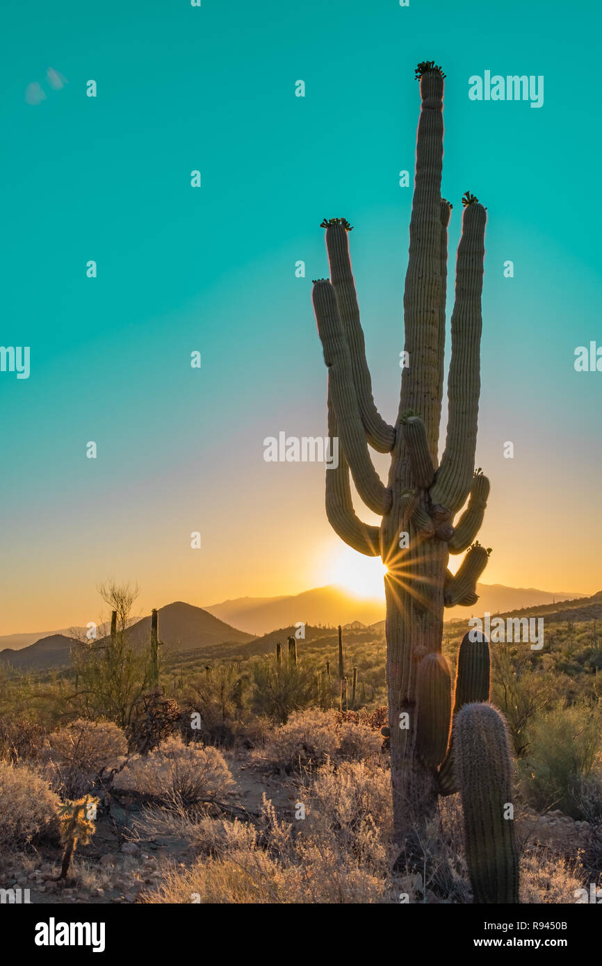 Arizona desert sunset hi-res stock photography and images - Alamy