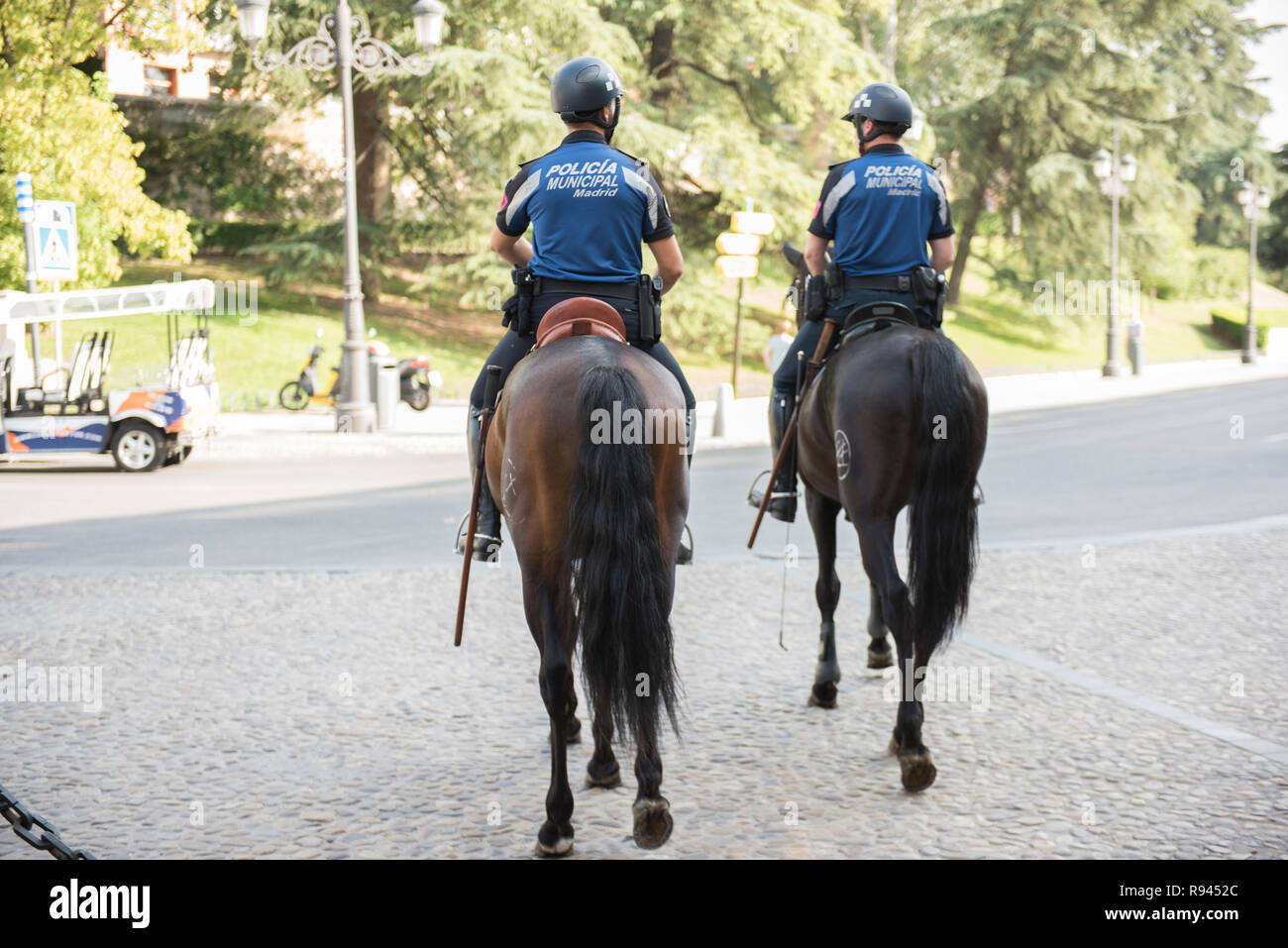 Trained police horse hi-res stock photography and images - Alamy