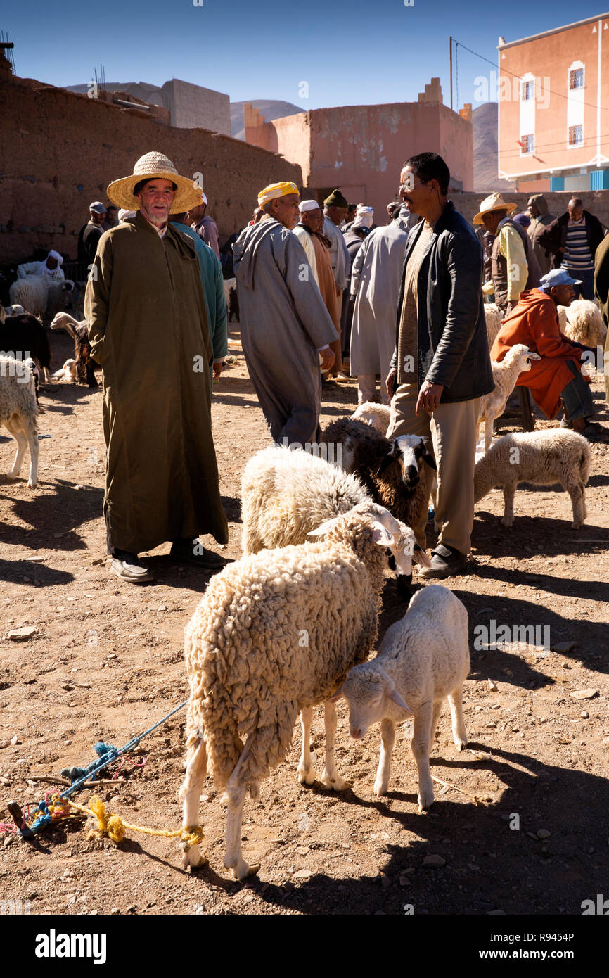 Selling sheep hires stock photography and images Alamy