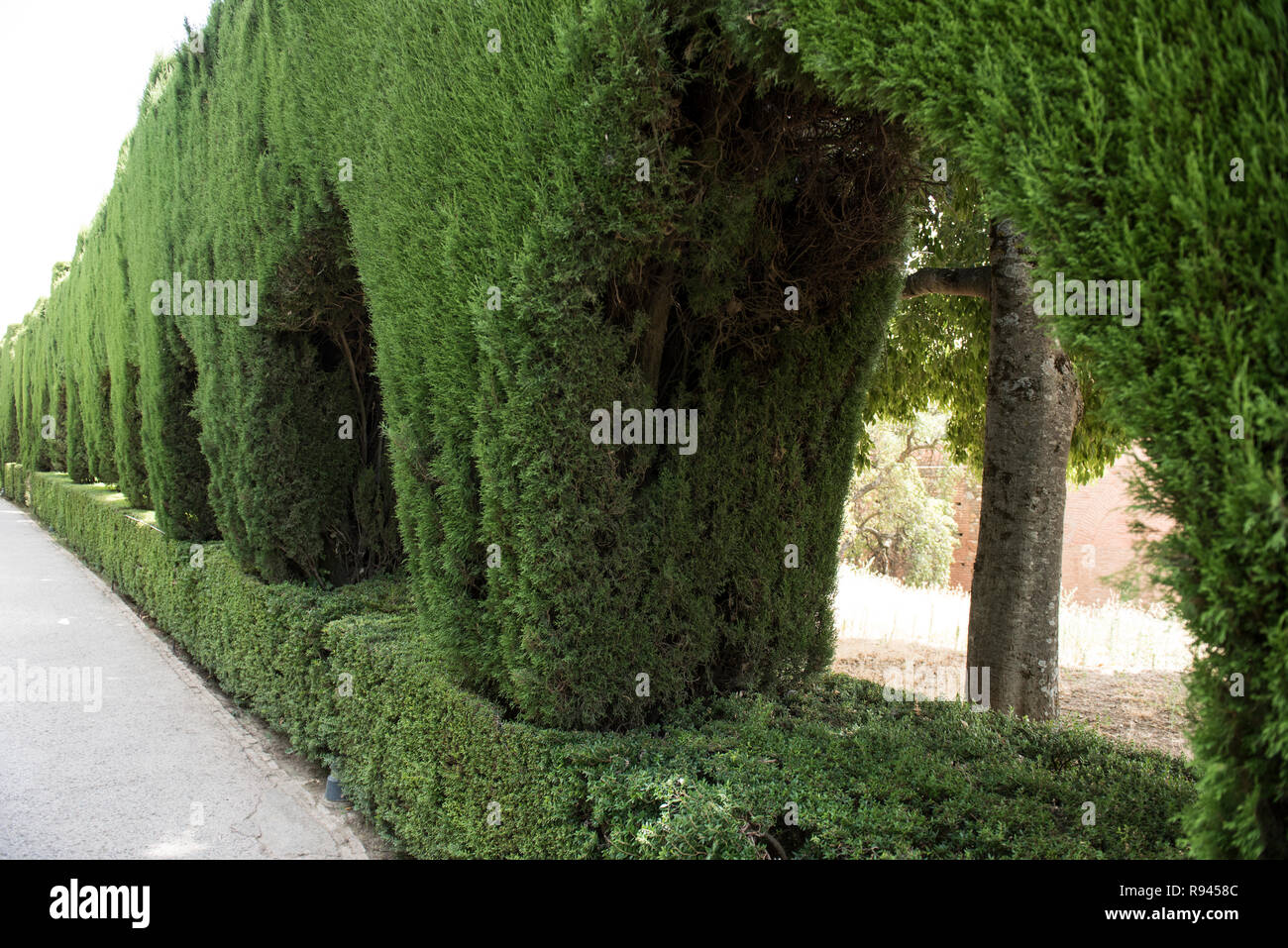 Alhambra architecture hires stock photography and images Alamy