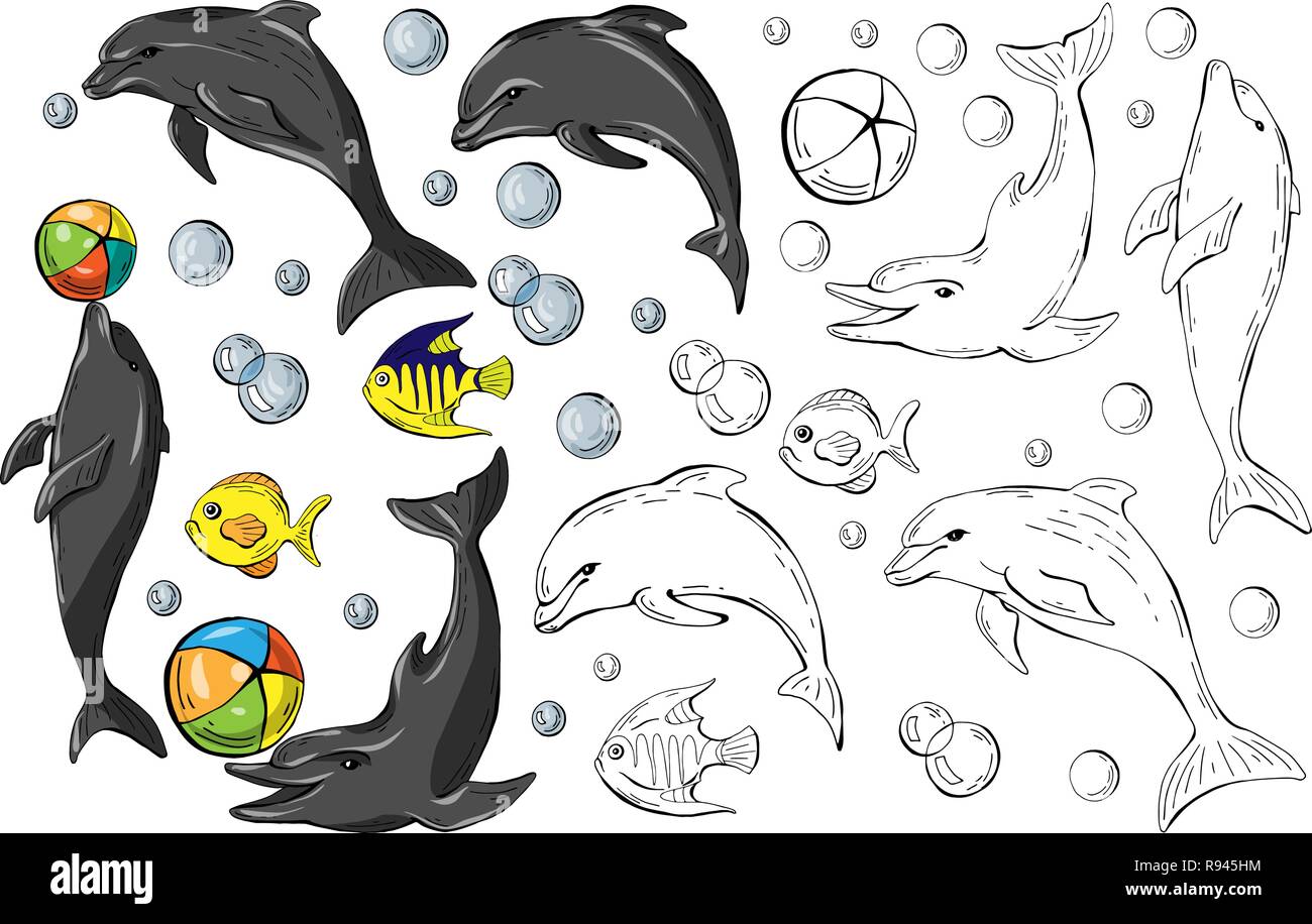 Set of colored dolphins and fish isolated on white background and monochrome copy , vector illustration Stock Vector