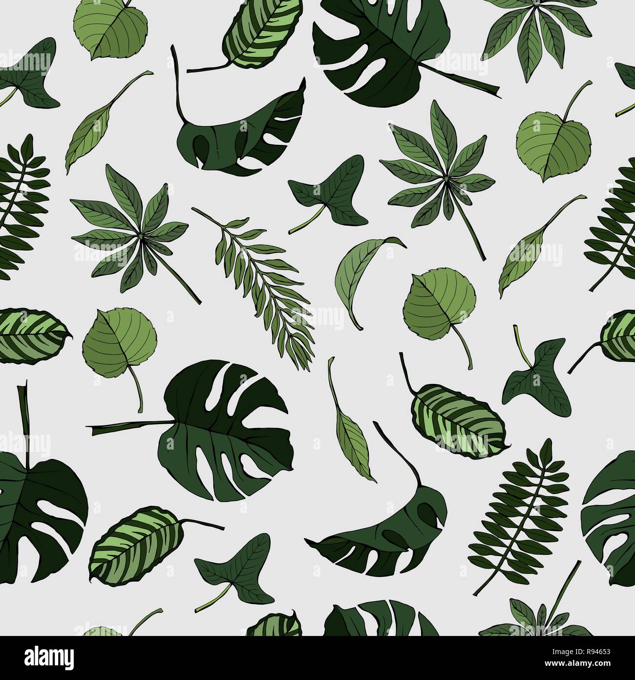 Seamless pattern with different tropical and exotic leaves, vector hand ...