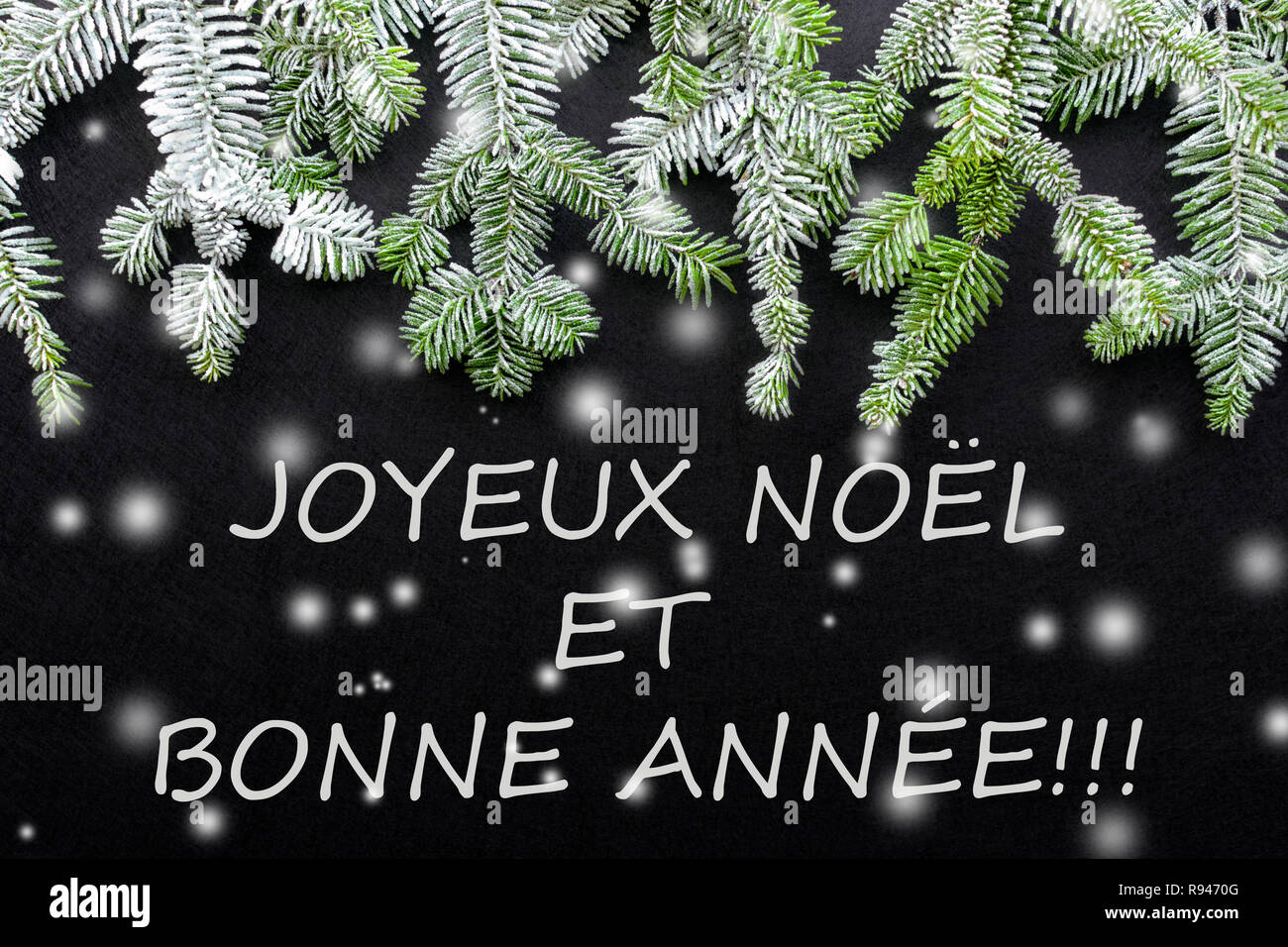 Fir tree and snow on dark background. Greetings Christmas card. Postcard. Christmastime. White and green.'Joyeux Noël' Stock Photo