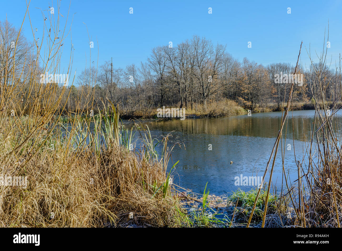 Late Autumn, Reflection Of The Trees In The River Stock Photo