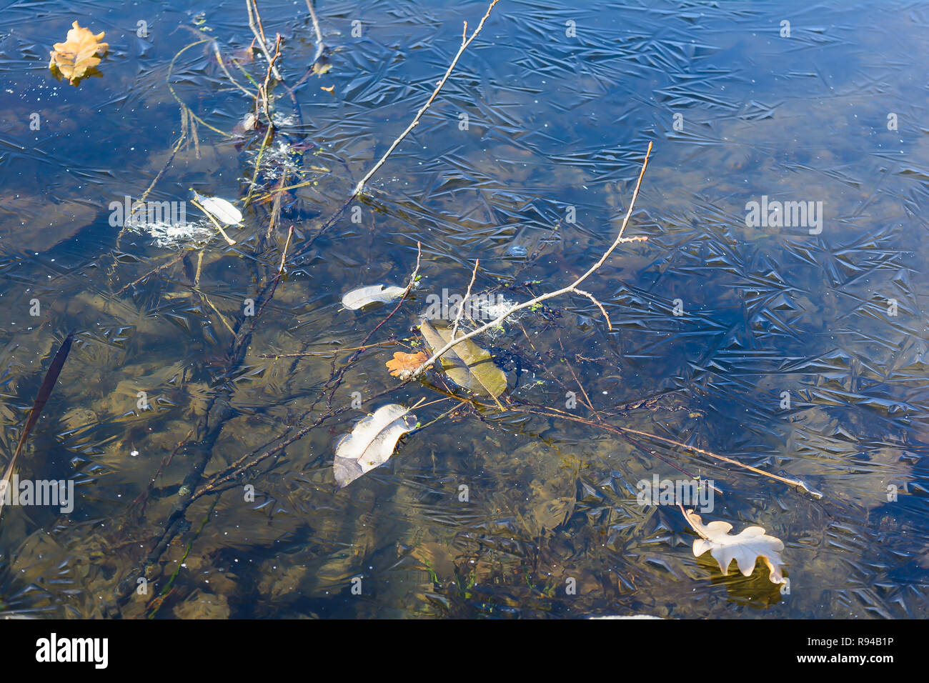 First frost, Frozen Pond, Frozen River, Late Autumn, Thin Ice Stock Photo