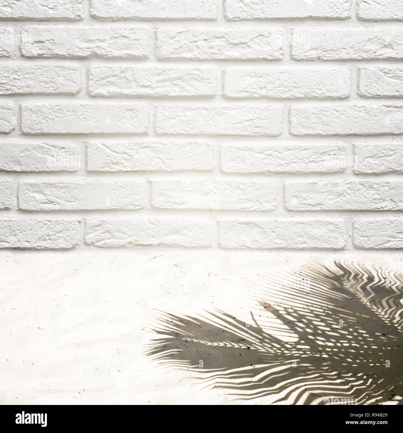 Background to insert an object on a brick wall and white sand with a shadow from a coconut tree. Ready background for designers. Stock Photo