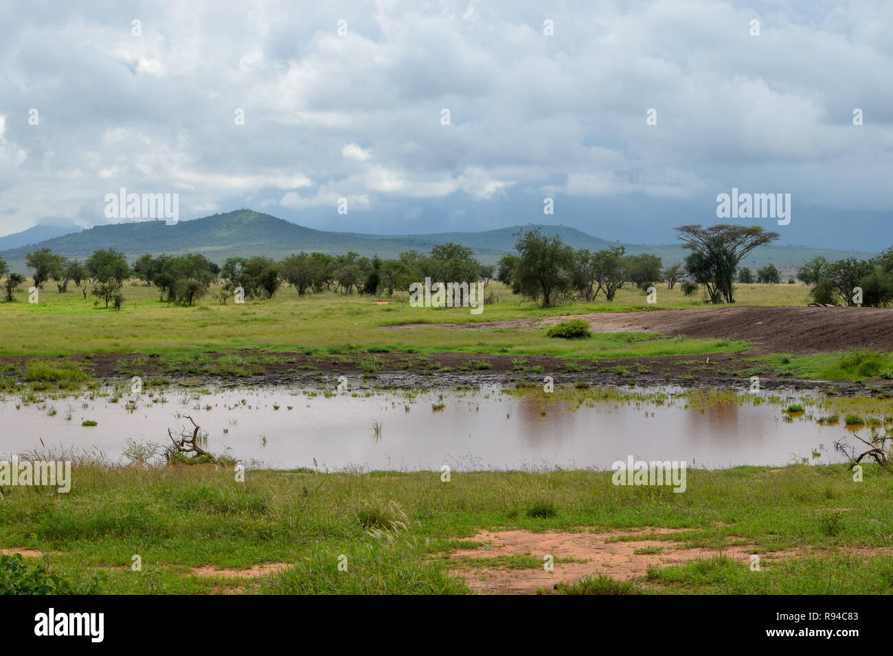 The savannah grassland against a mountain background at Taita Hills Wildlife Sanctuary, Voi Stock Photo