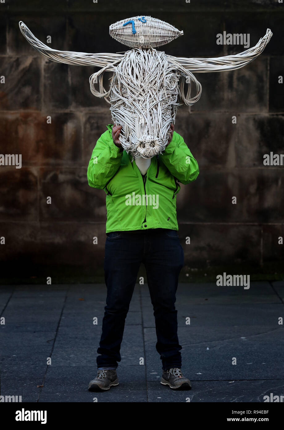 A Highland cow with rugby 7s ball on its head wicker sculpture is held ...