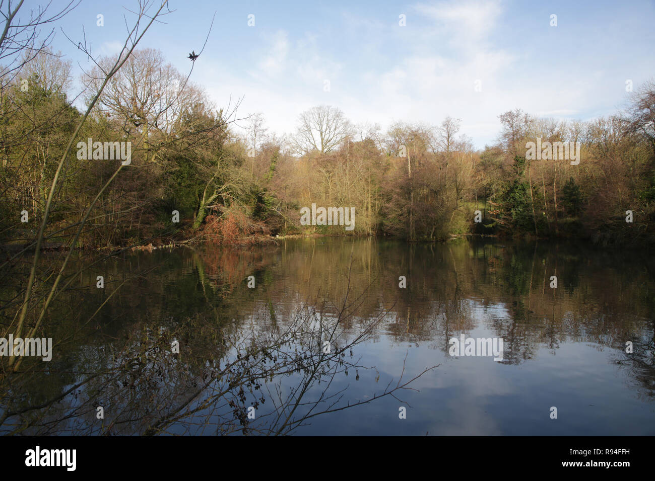The bottom pool at Haden hill park, Cradley Heath, Sandwell, West
