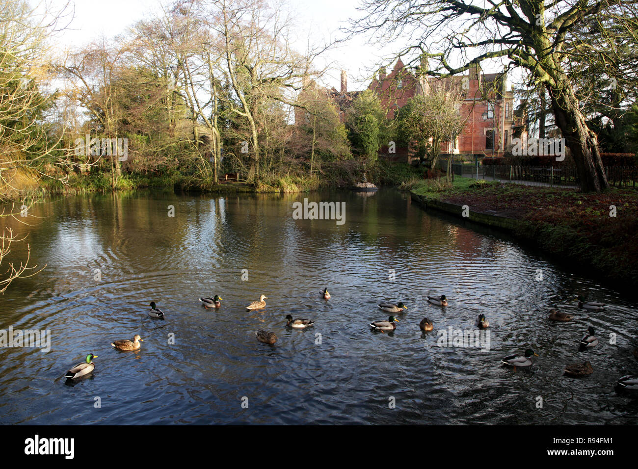 Top pond at Haden hill park, Cradley Heath, Sandwell, West midlands
