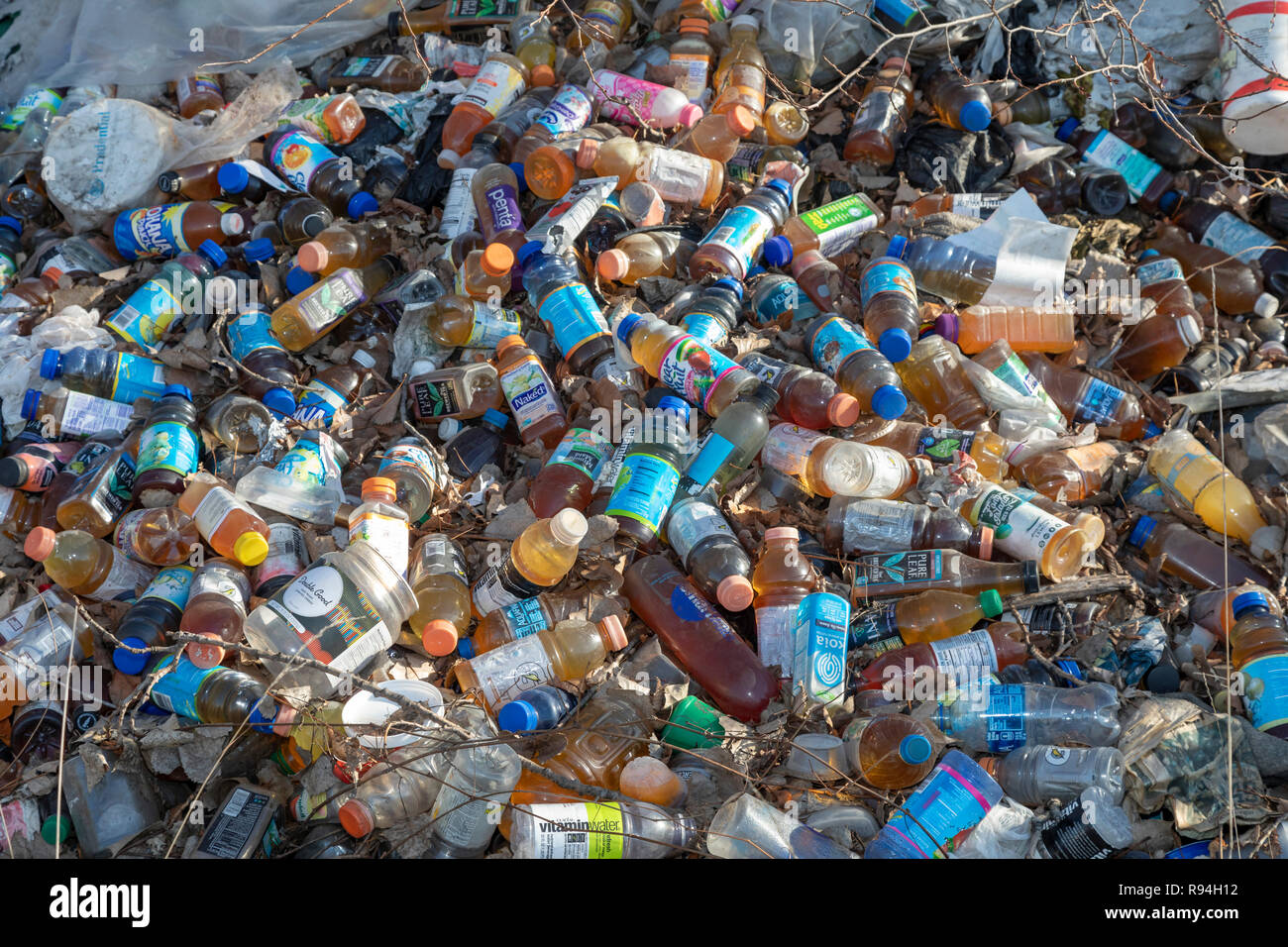 Detroit, Michigan - Many hundreds of bottles and cans illegally dumped in a wooded area near downtown. Many are juice or water containers, which are n Stock Photo