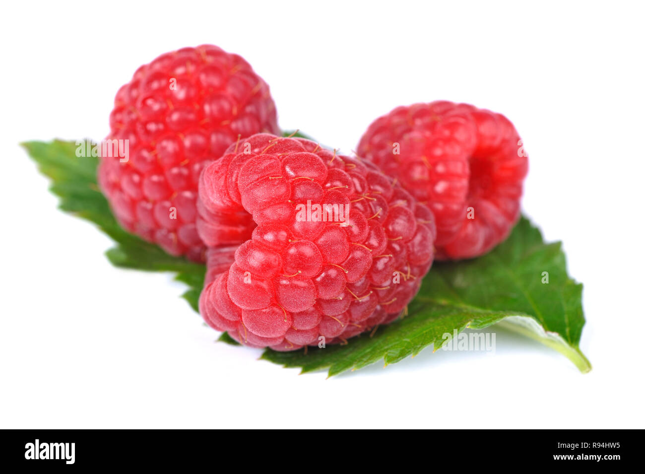 Three ripe raspberries on a raspberry leaf Stock Photo