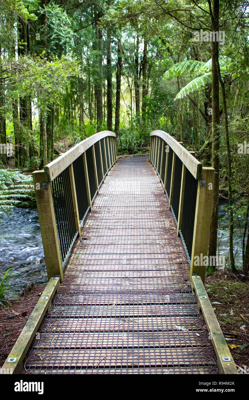 Wooden foot bridge crossing hi-res stock photography and images - Alamy