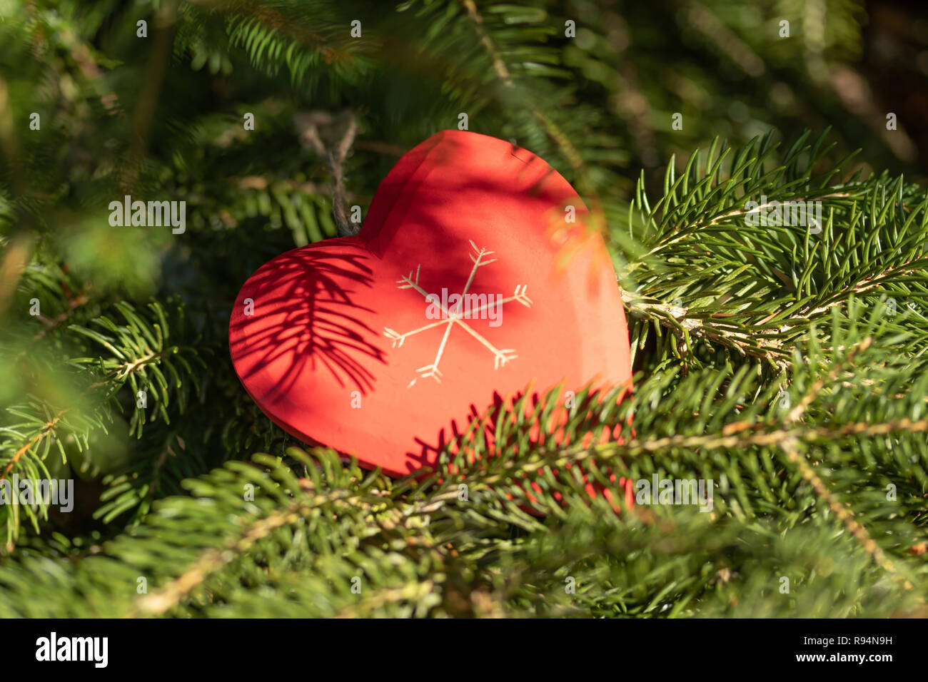 Beautiful Greeting Card With New Year 2019 And Happy