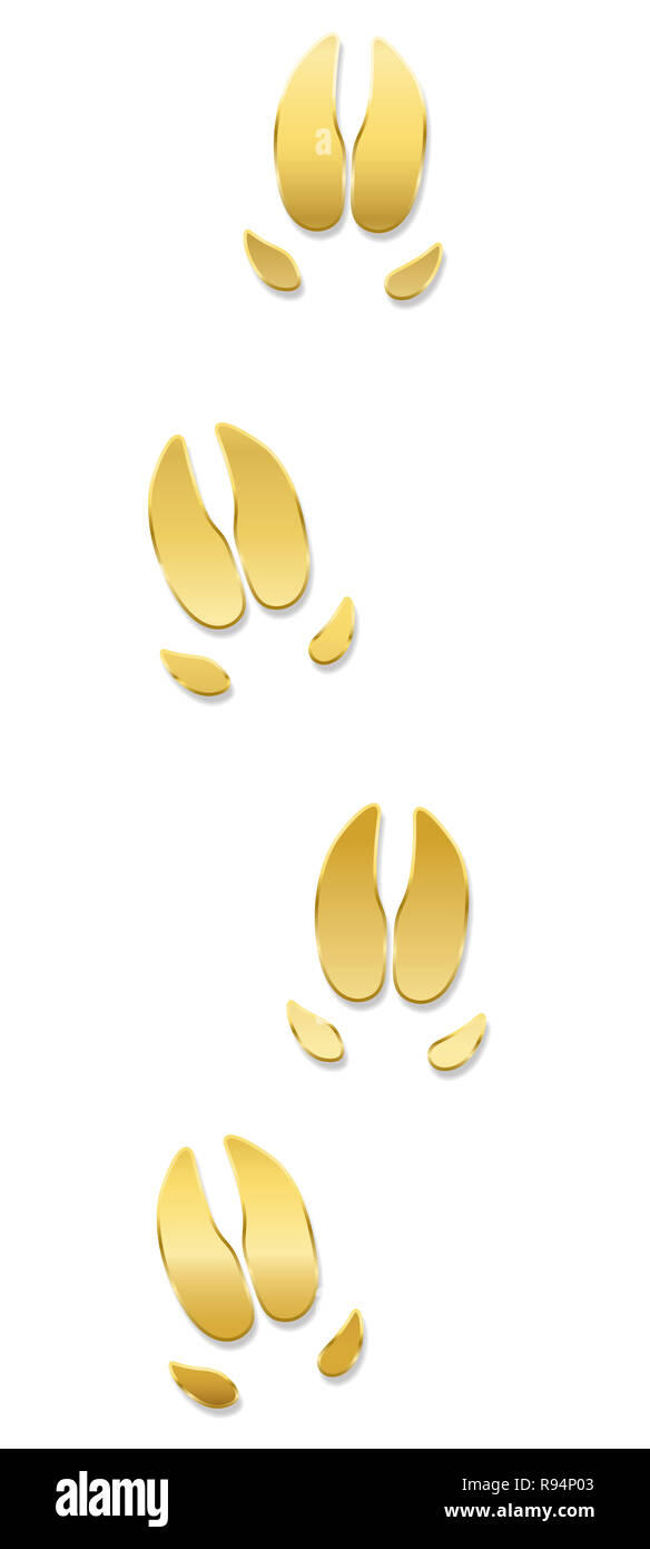 Pig tracks, golden footprints. Luck symbol concerning chinese year of the pig - icon illustration on white background. Stock Photo