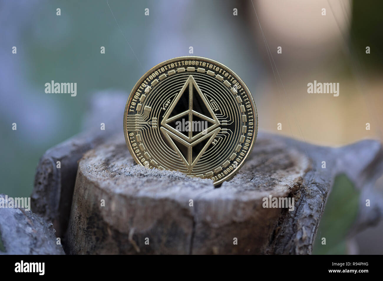 Ethereum classic physical coin placed on cut tree Stock Photo