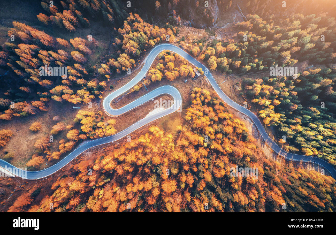 Winding road in autumn forest at sunset in mountains. Aerial view. Top view of beautiful asphalt roadway and orange trees. Highway through the woodlan Stock Photo