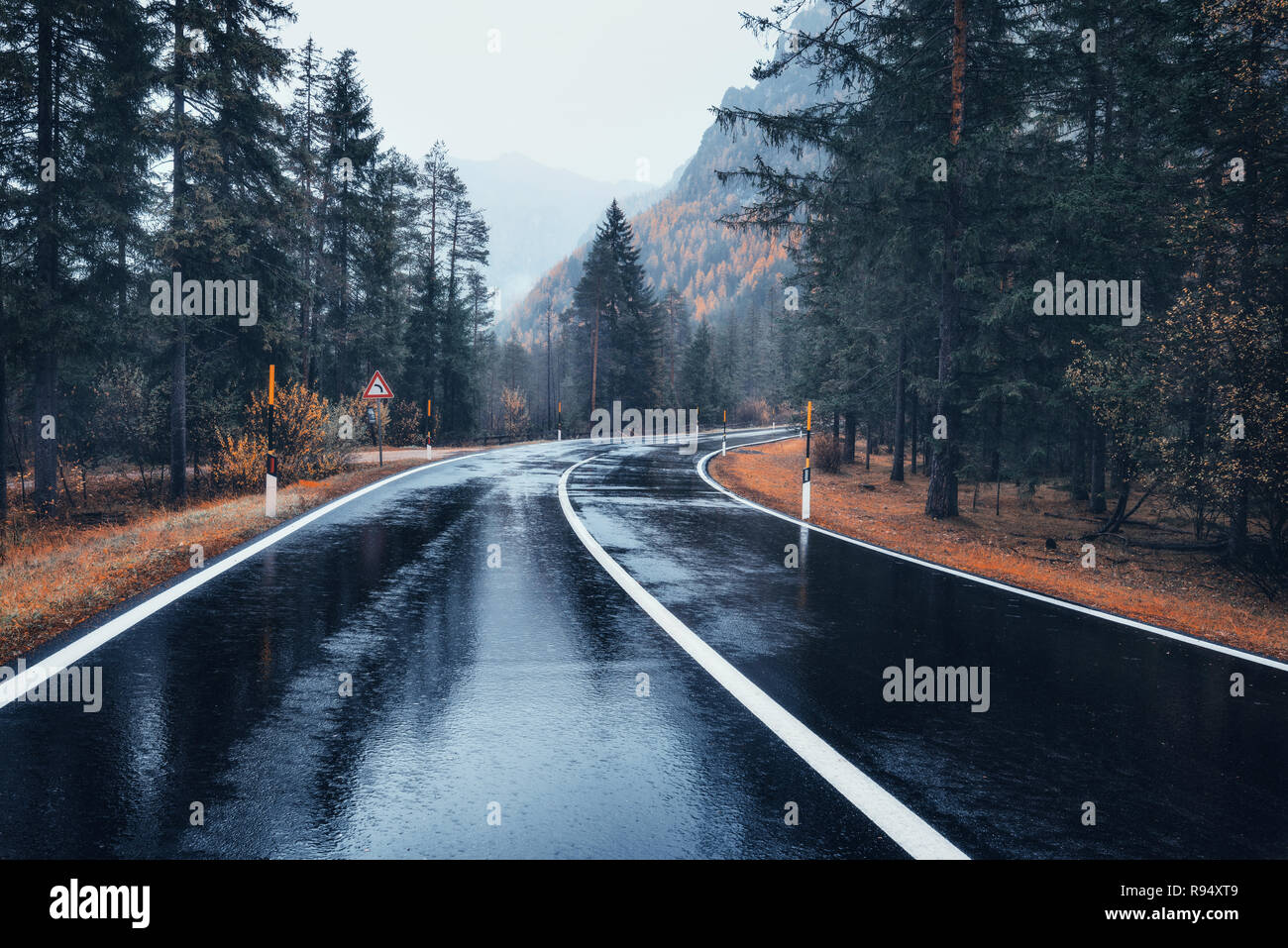 Road in the autumn forest in rain. Perfect asphalt mountain road in ...