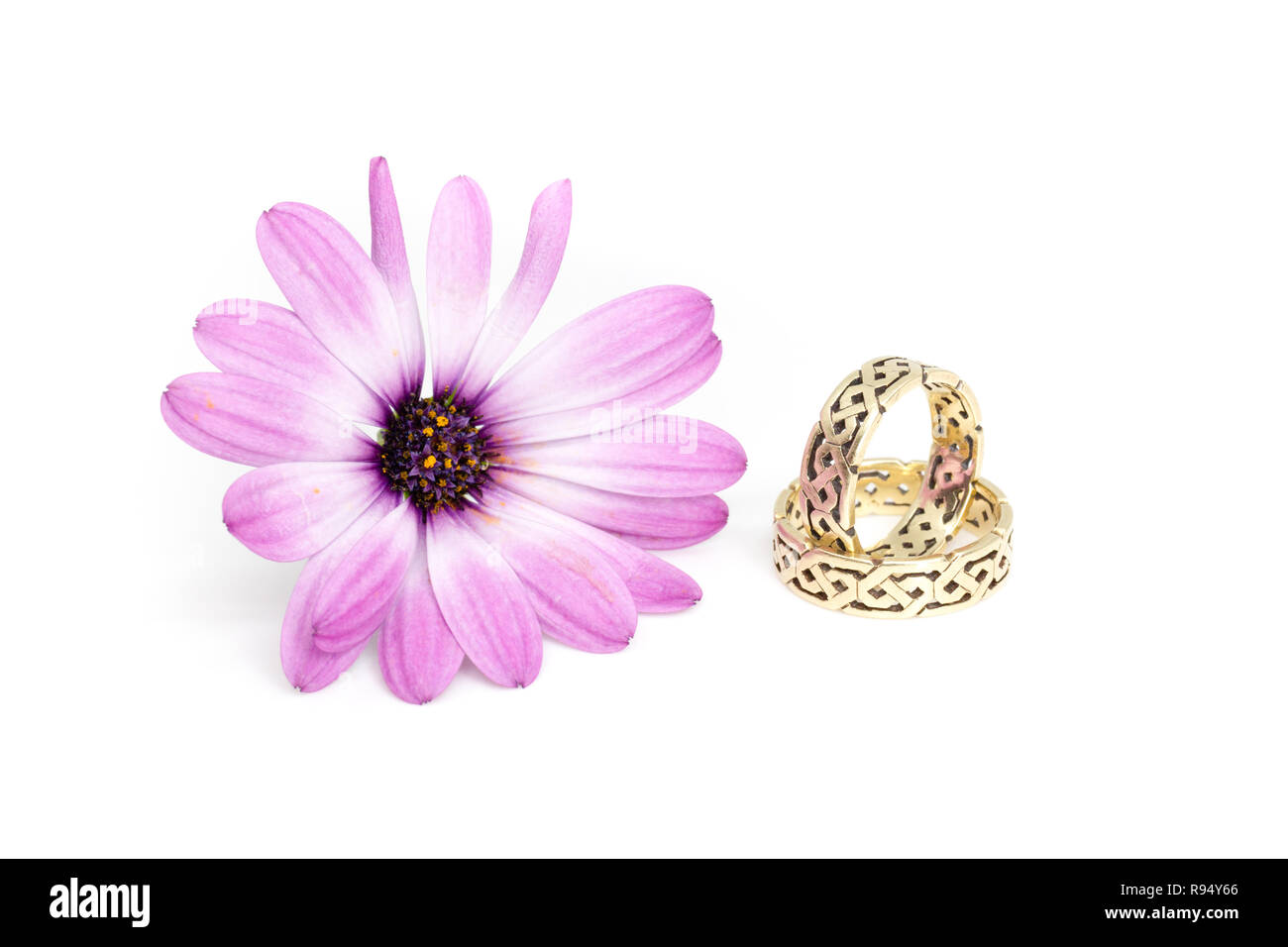 Golden wedding rings with Irish ornaments and daisybush (Osteospermum barberiae) flowerhead Stock Photo