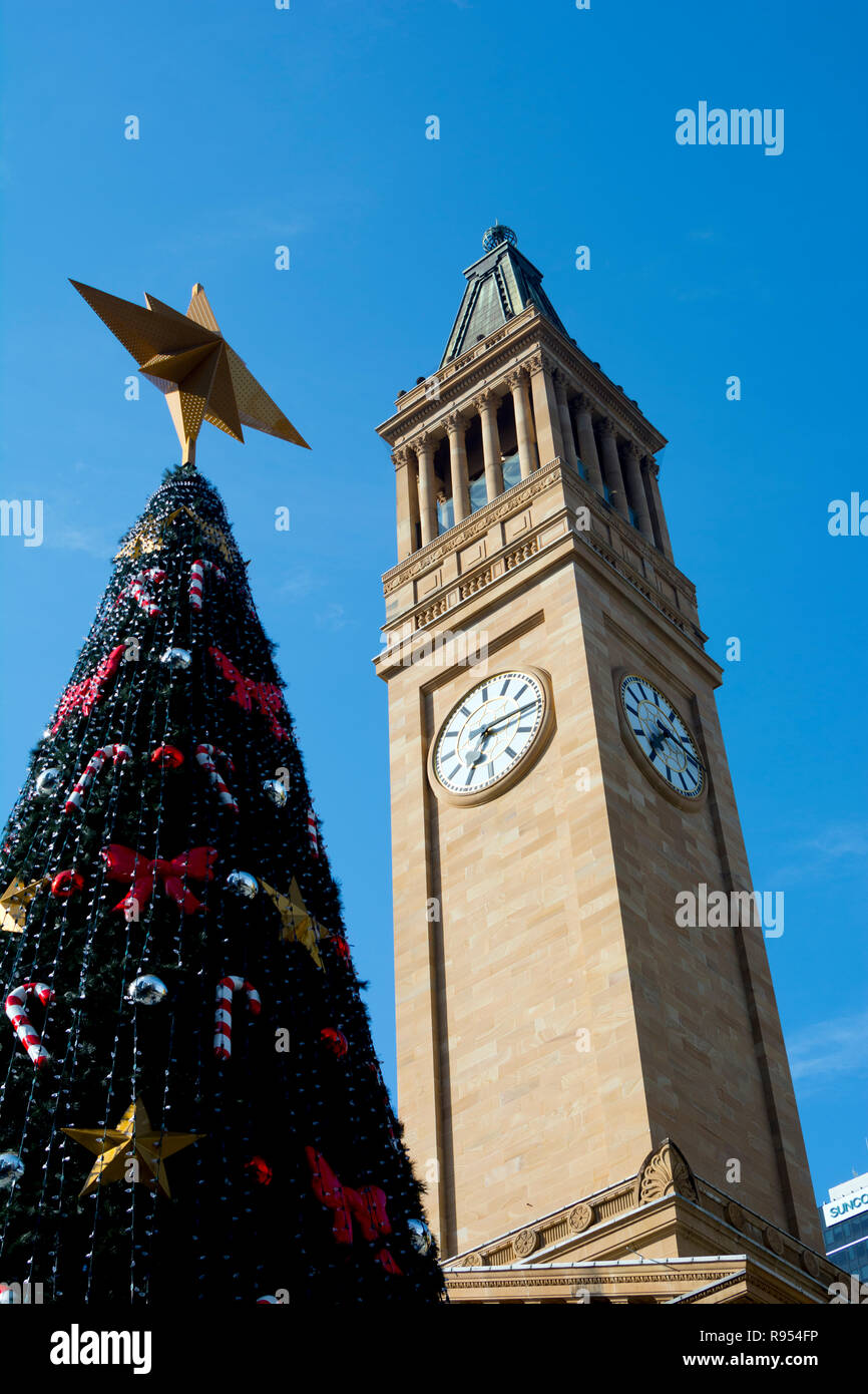 Australian christmas tree hires stock photography and images Alamy