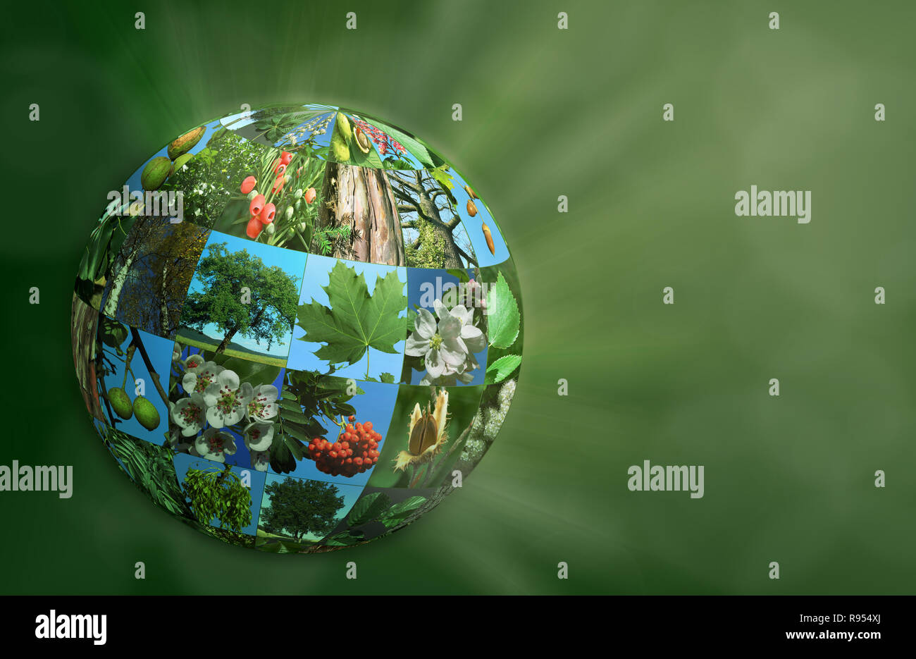 planet globe nature green eco ecological natural 3d illustration Stock Photo