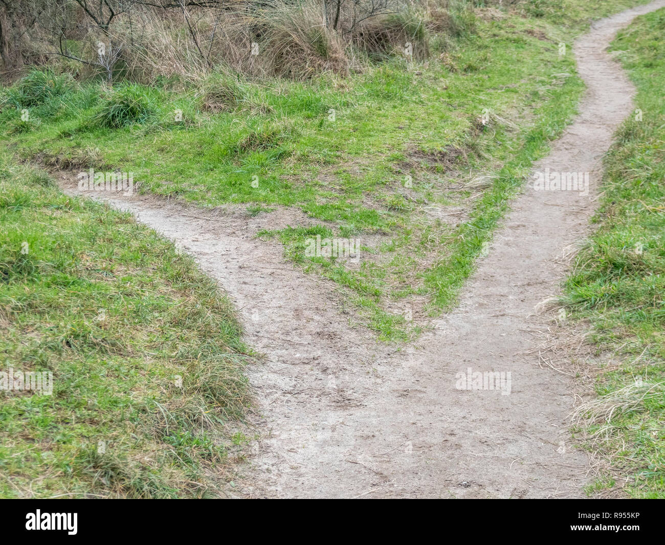 Forking footpath - metaphor for diverging ideas, divided, different directions, career path change, changes in circumstances, direction change Stock Photo