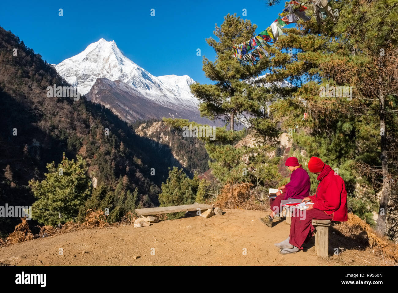 2 Buddhist monks studying texts on a hilltop above Lho in Nepal. Manaslu peak in distance Stock Photo