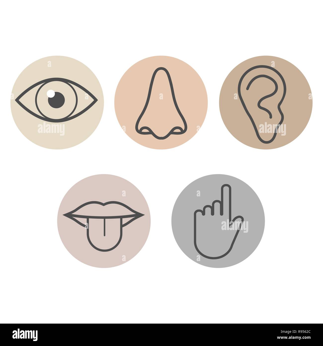 Human senses icon. Vector illustration flat Stock Vector