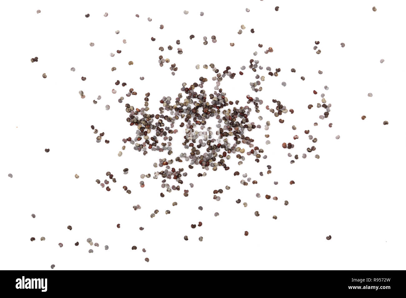 Black and white poppy hires stock photography and images Alamy