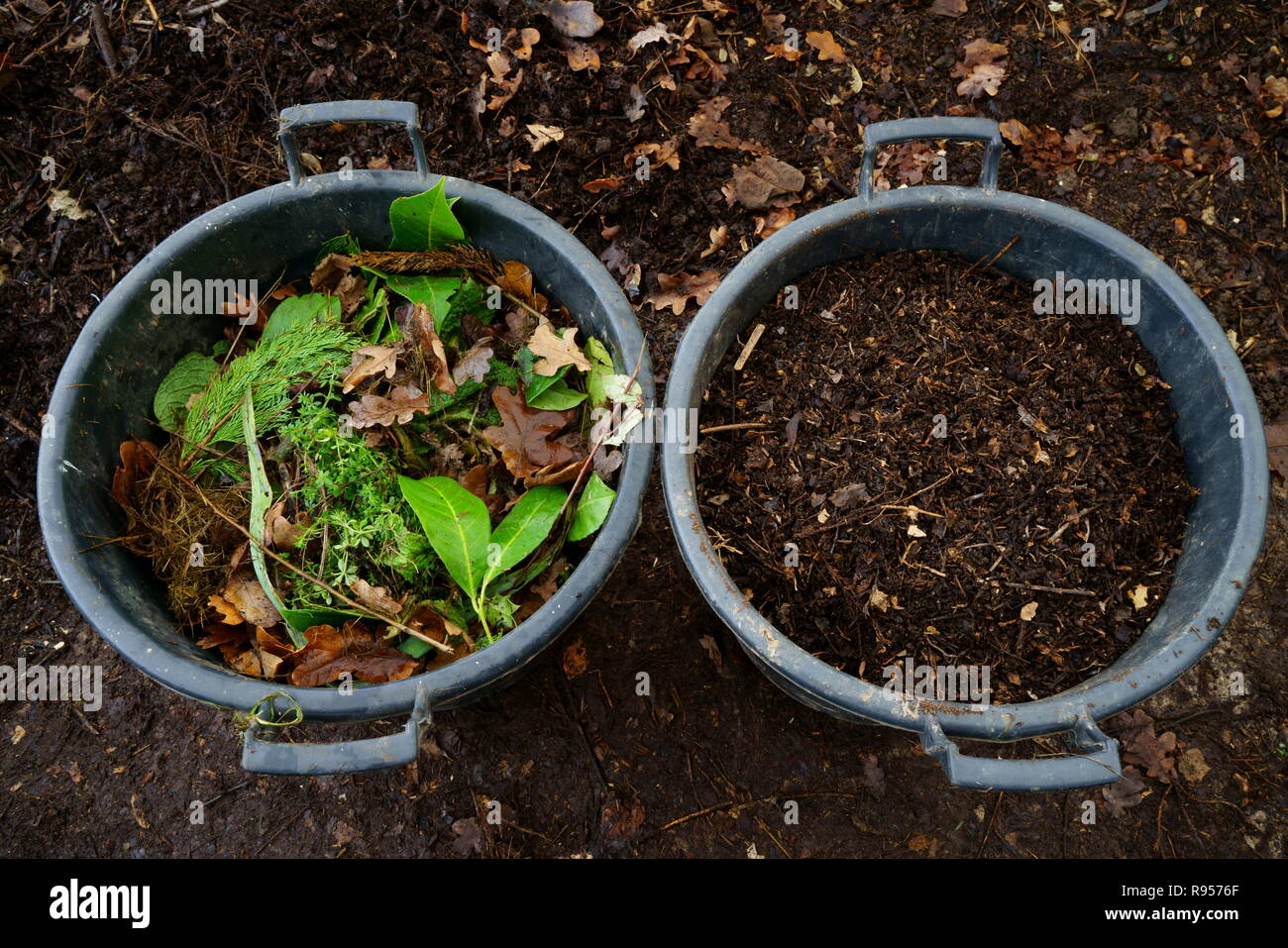 Before and after compost, the tub on the left contains green waste ...