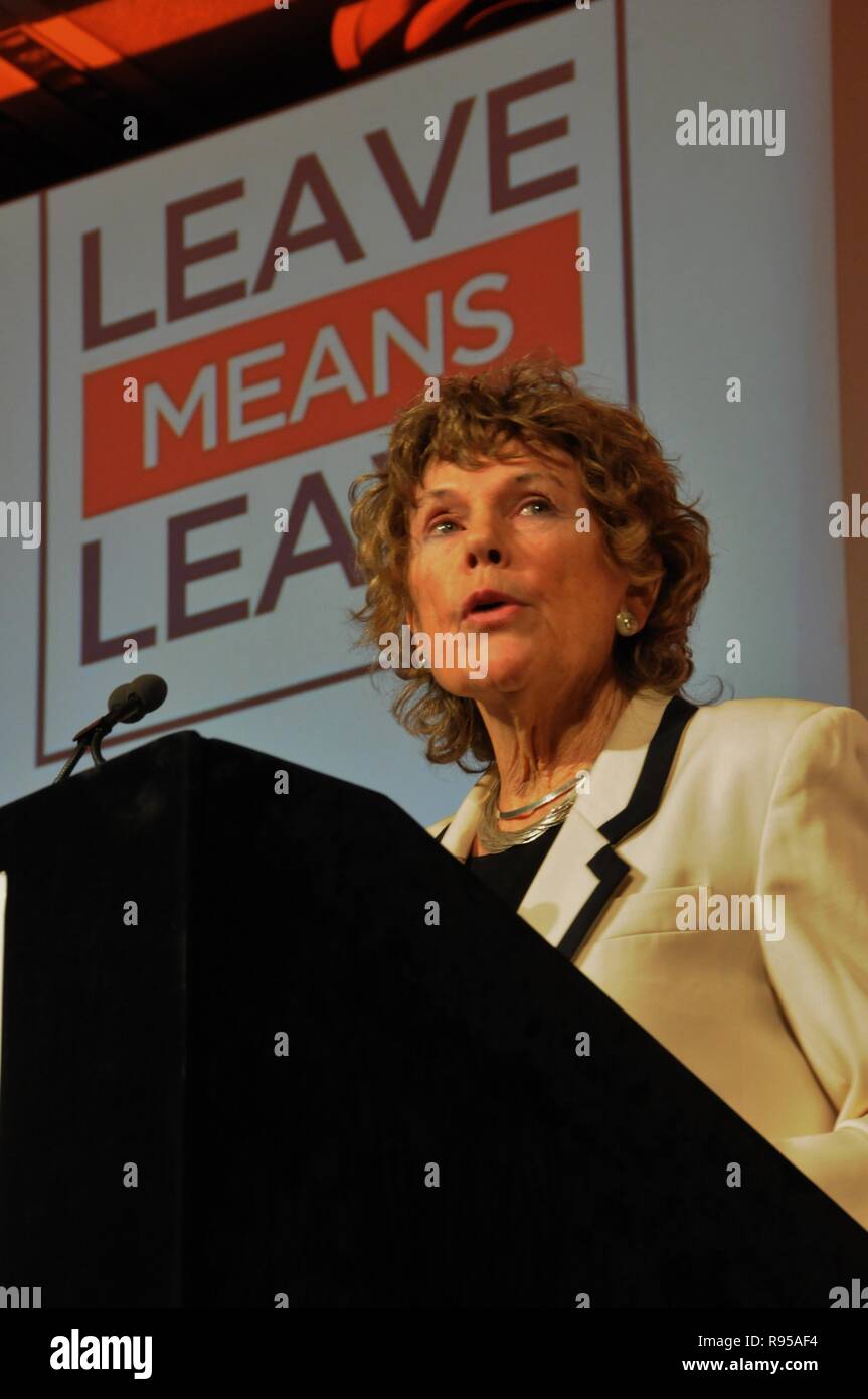 The Labour MP for Vauxhall, Kate Hoey, talks to fellow Brexiteers, at the Leave Means Leave campaign, London Stock Photo