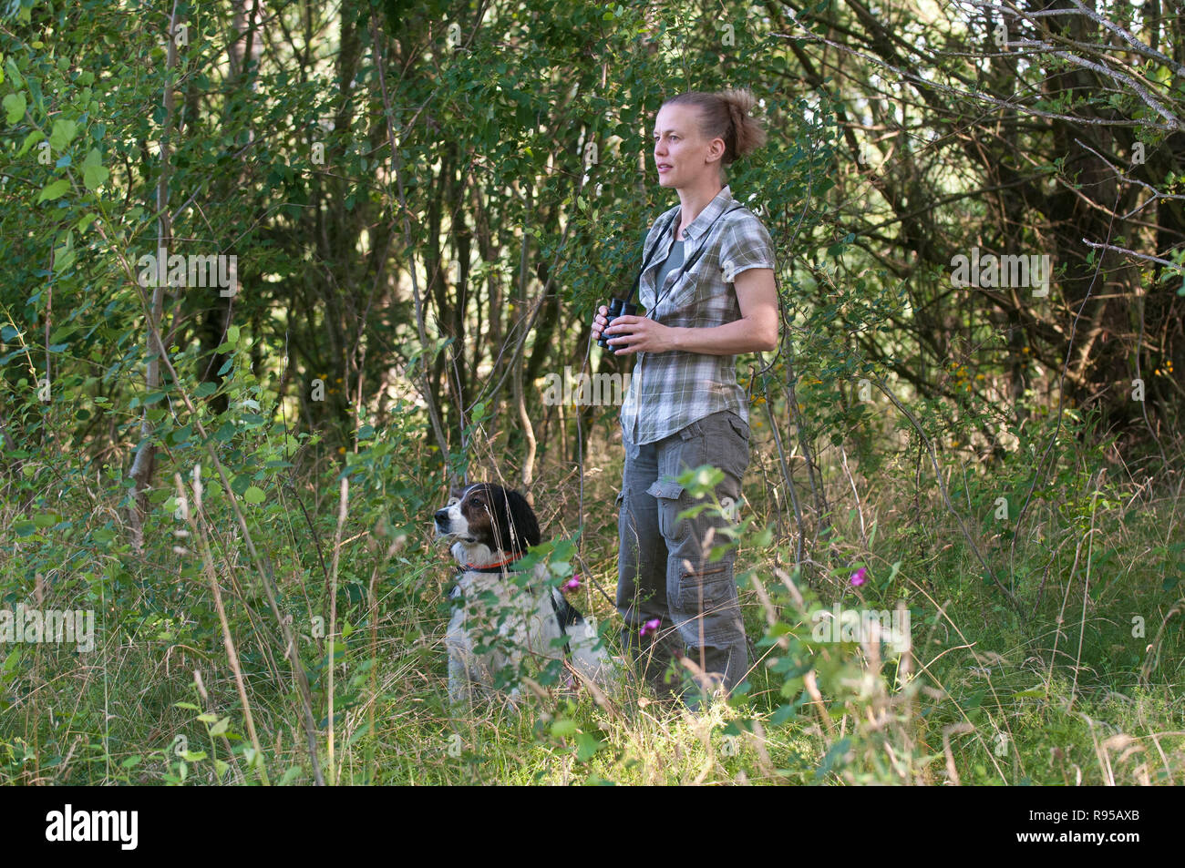 Hund european hires stock photography and images Alamy