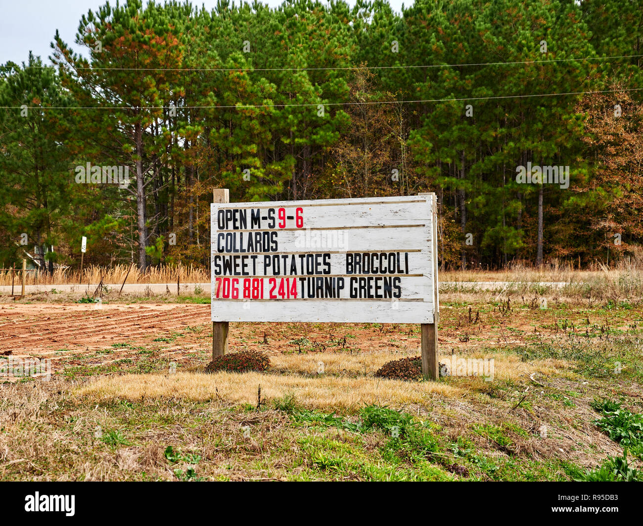 Roadside sign advertising fresh picked vegetables common to the southern USA or American south including collards, turnip greens, in rural Georgia USA Stock Photo