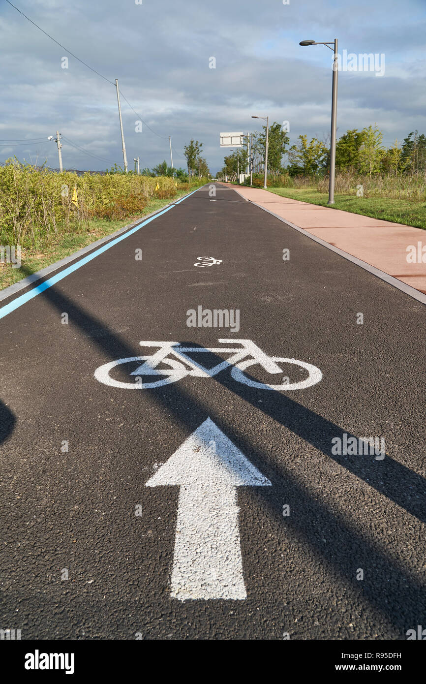 Bicycle-only road mark and arrow painted on a asphalt road in a park in Korea. Stock Photo