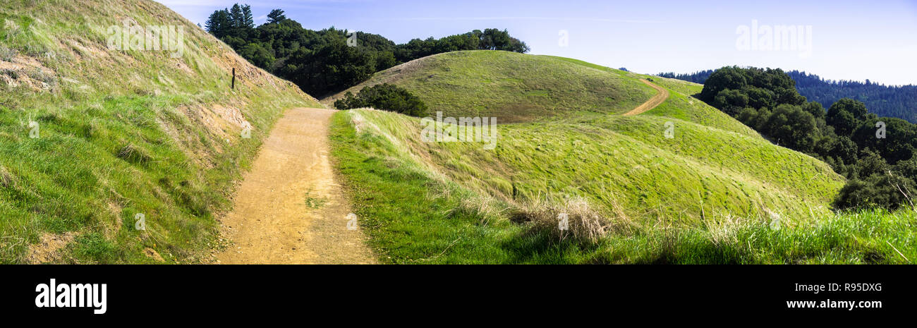 Hiking trail through verdant green hills in Santa Cruz mountains, San Francisco bay area, California Stock Photo
