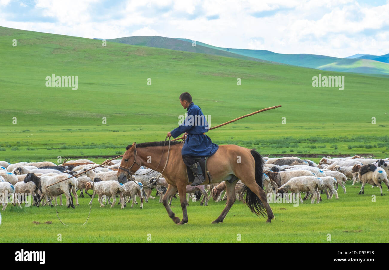 Mongolian Steppes High Resolution Stock Photography and Images - Alamy