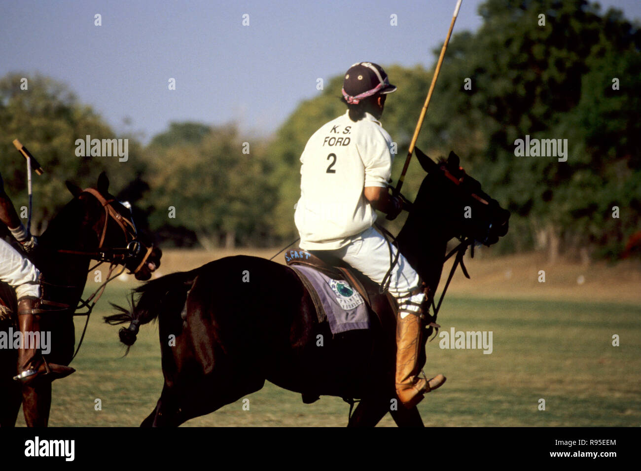 player riding on horse participate in polo match Stock Photo