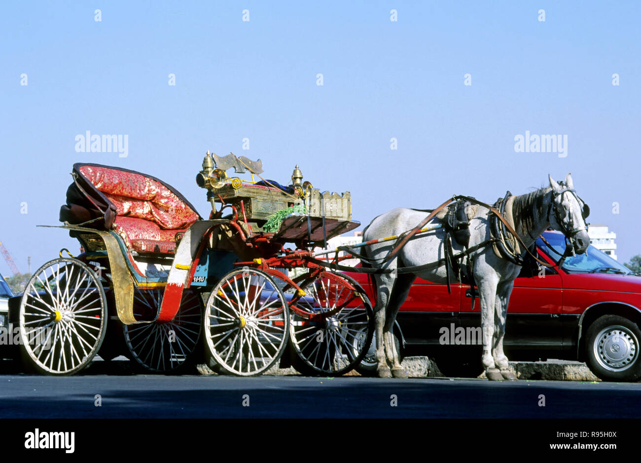 Horse cart, India Stock Photo
